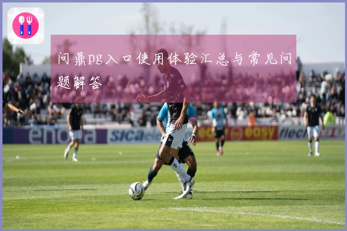 问鼎pg入口使用体验汇总与常见问题解答