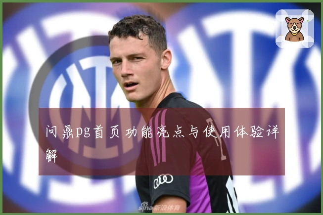 问鼎pg首页功能亮点与使用体验详解
